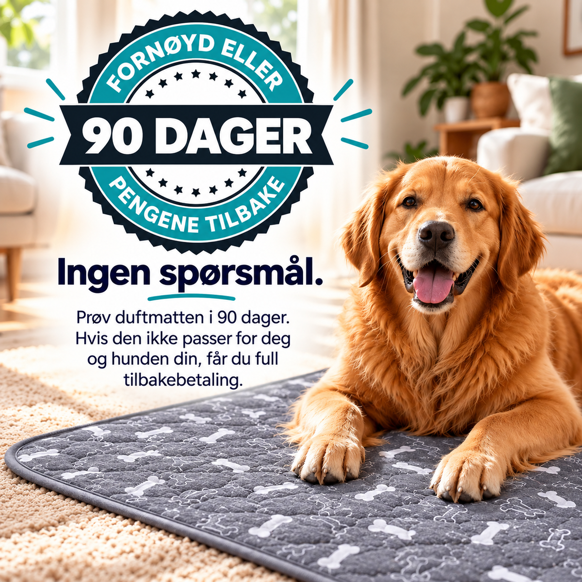 PoteMatten™ | Tissematten som tiltrekker hunden