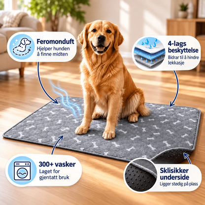 PoteMatten™ | Tissematten som tiltrekker hunden