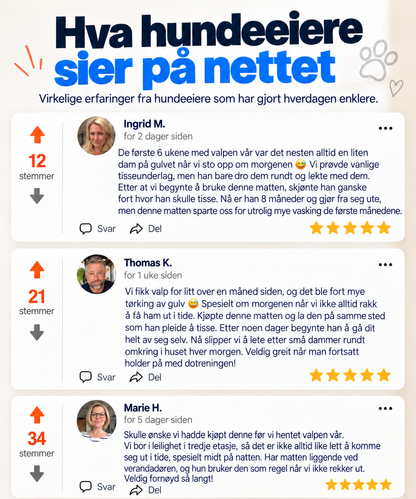 PoteMatten™ | Tissematten som tiltrekker hunden
